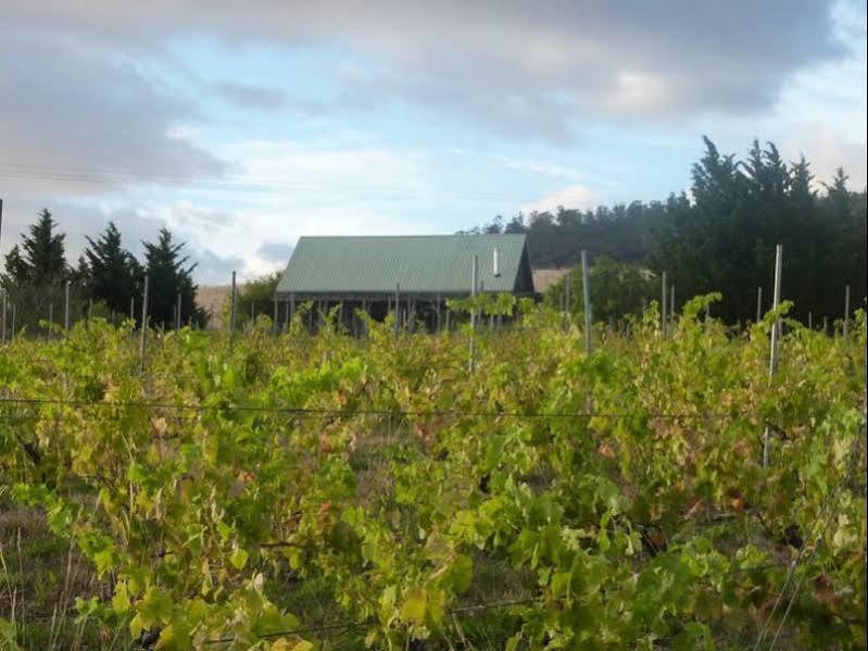 Charles Reuben Estate ξενώνας Χόμπαρτ Εξωτερικό φωτογραφία